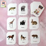 kickkraft-32-piece-animal-flash-cards-set