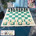 big-premium-portable-chess-set-plastic-chess-pieces-1-set