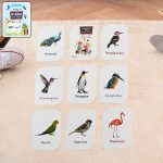 19158_32pc_birds_flashcard_set