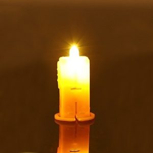 LED Bean Light Lanterns Lights Mini LED Lights (1 Pc)