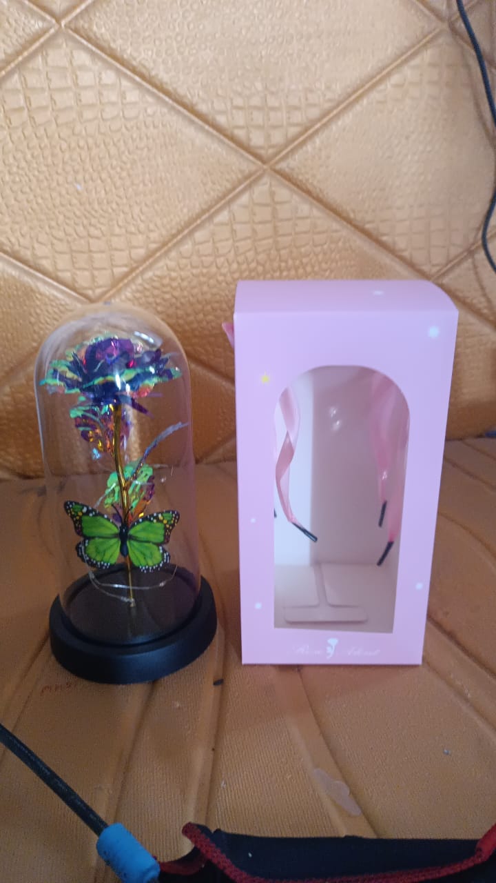 led-preserved-rose-with-colorful-butterfly-in-plastic-dome-1-pc-mix-color