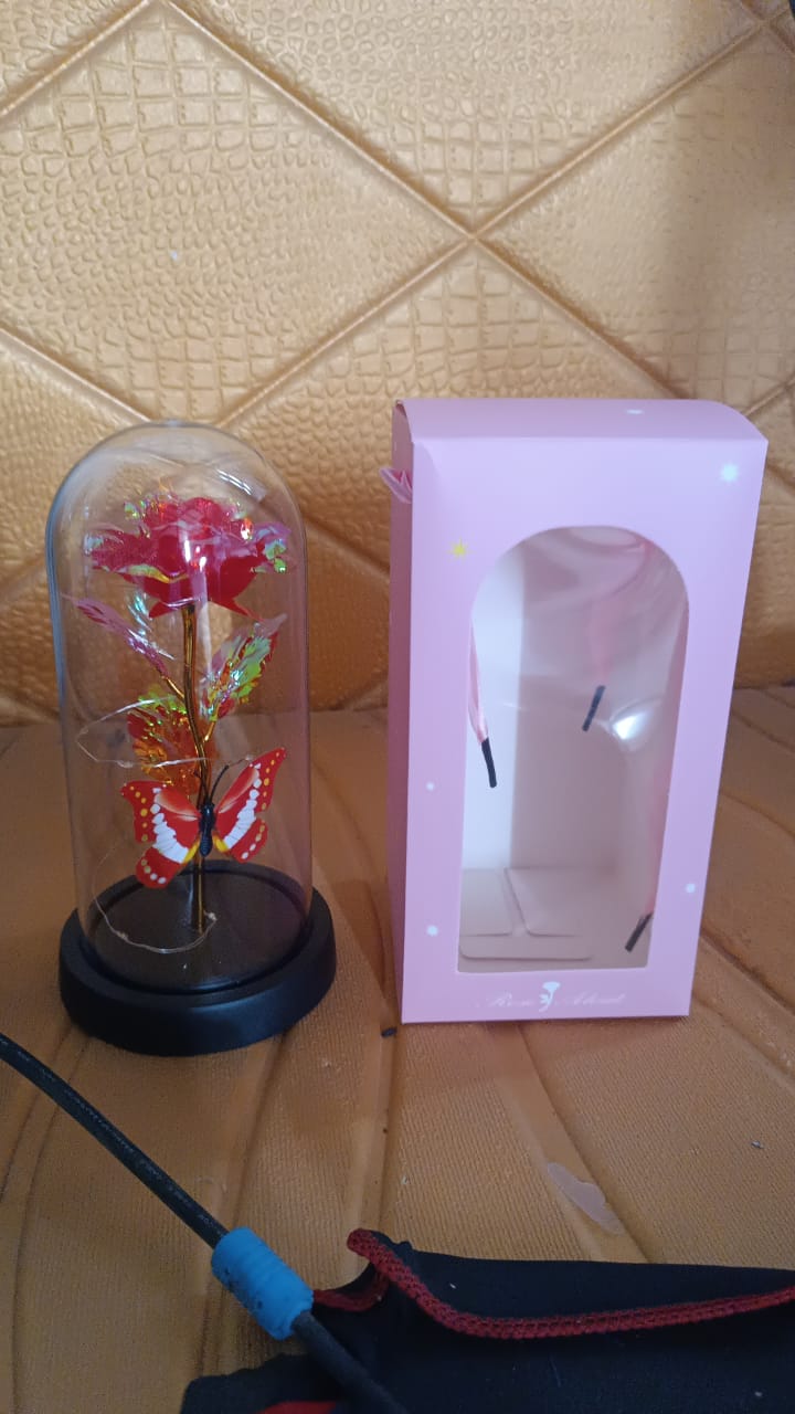 elegant-led-eternal-rose-in-plastic-dome