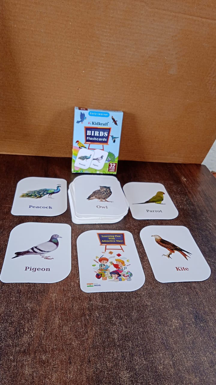 19158_32pc_birds_flashcard_set