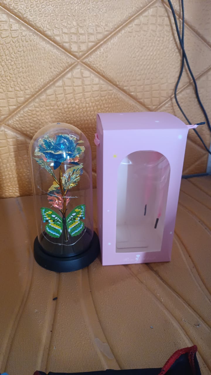 led-powered-eternal-rose-in-plastic-dome