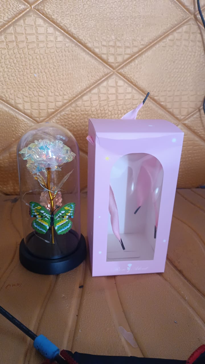 led-light-up-eternal-rose-with-butterfly-in-transparent-dome
