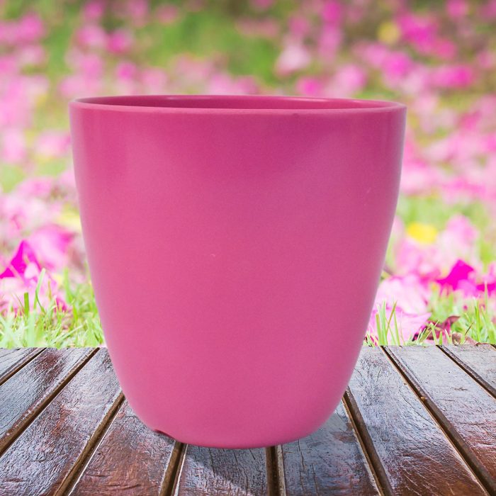 Plastic Flower Valencia (Pot) Home and Outdoor (1 Pc/Mix Colour)